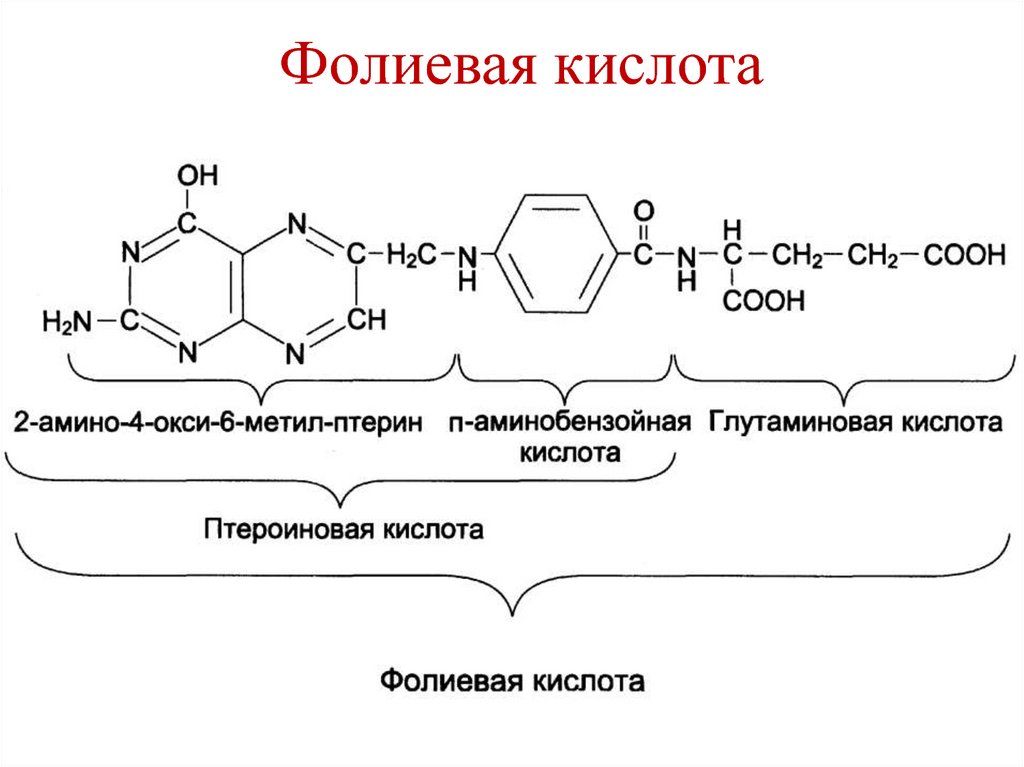 Формула фолиевой кислоты. Тетрагидрофолиевая кислота Синтез. Фолиевая кислота структурная формула. Синтез фолиевой кислоты схема. Строение фолиевой кислоты.