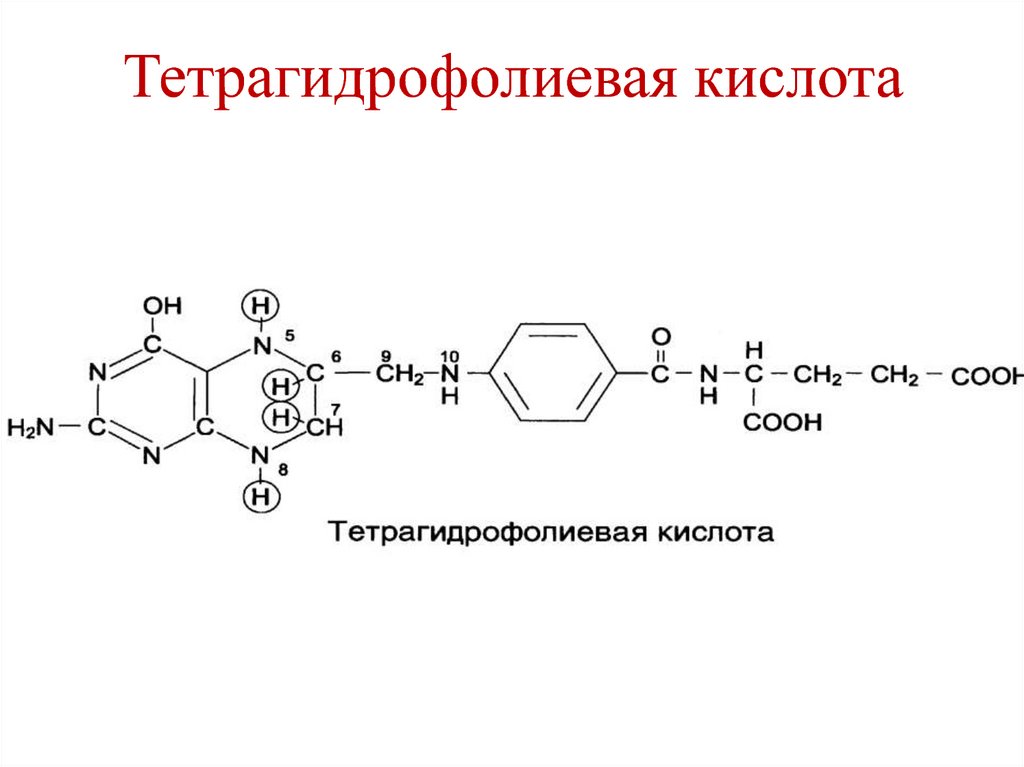 Фолиевая кислота формула. Тетрагидрофолиевая кислота формула. Строение тетрагидрофолиевой кислоты. Тетрагидрофолиевая кислота кофермент. Тетрагидрофолиевая кислота (ТГФК).