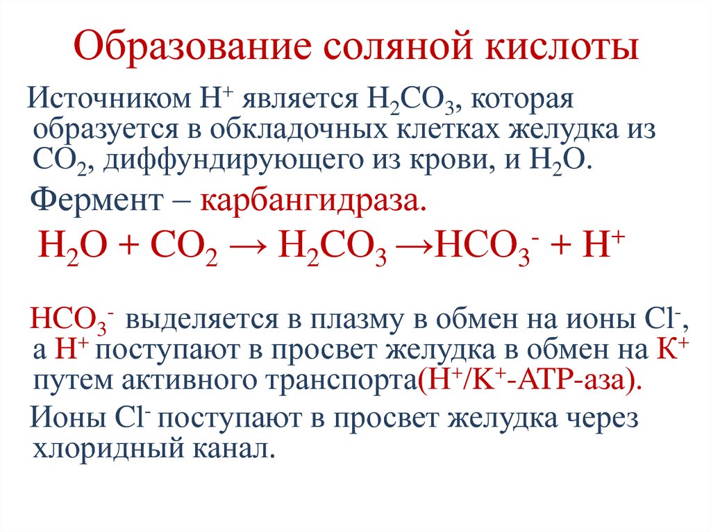 Кислотность hcl. Механизм образования соляной кислоты. Механизм секреции соляной кислоты. Механизм образования соляной кислоты биохимия. Реакция образования соляной кислоты в желудке.