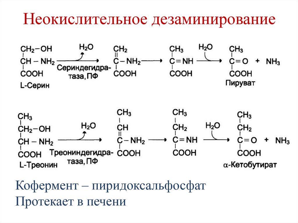 Реакция образования пировиноградной кислоты