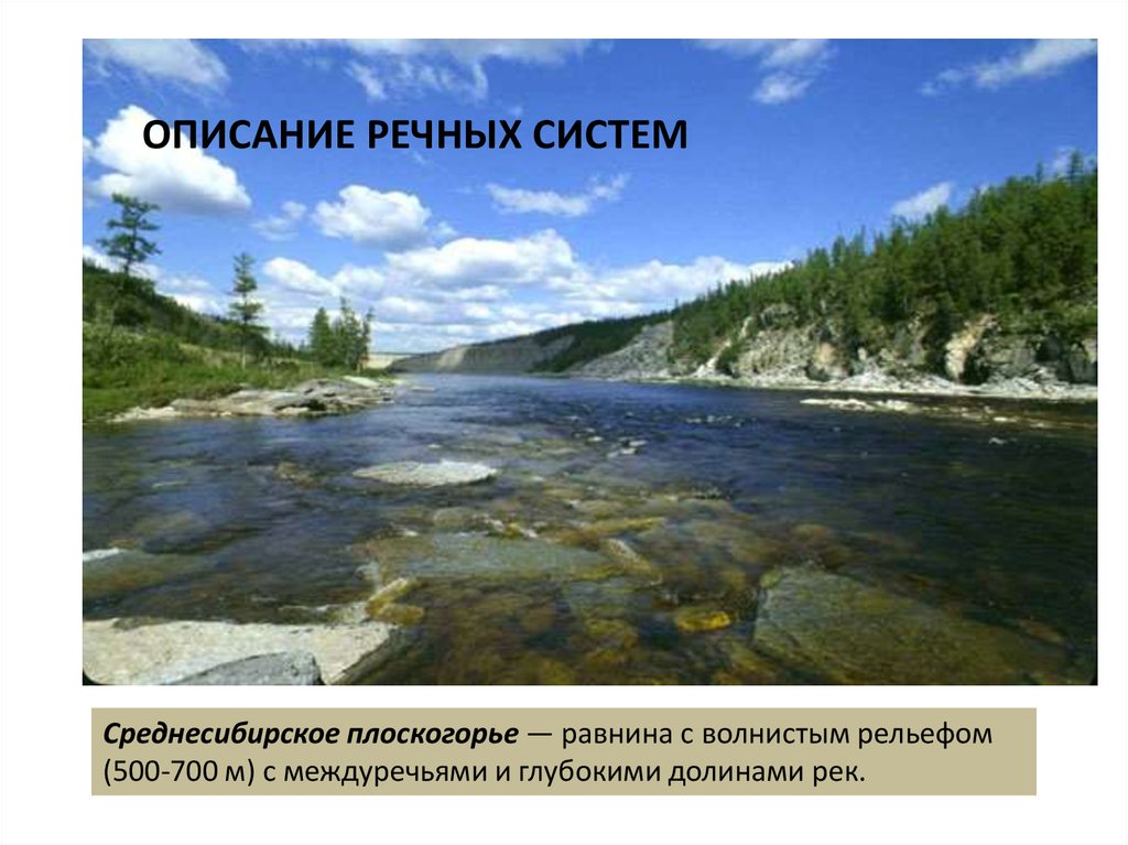 Среднесибирское плоскогорье почвы
