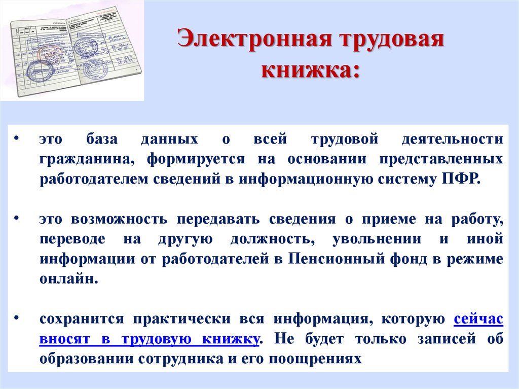 Как выглядит электронная трудовая книжка образец с 2022 года