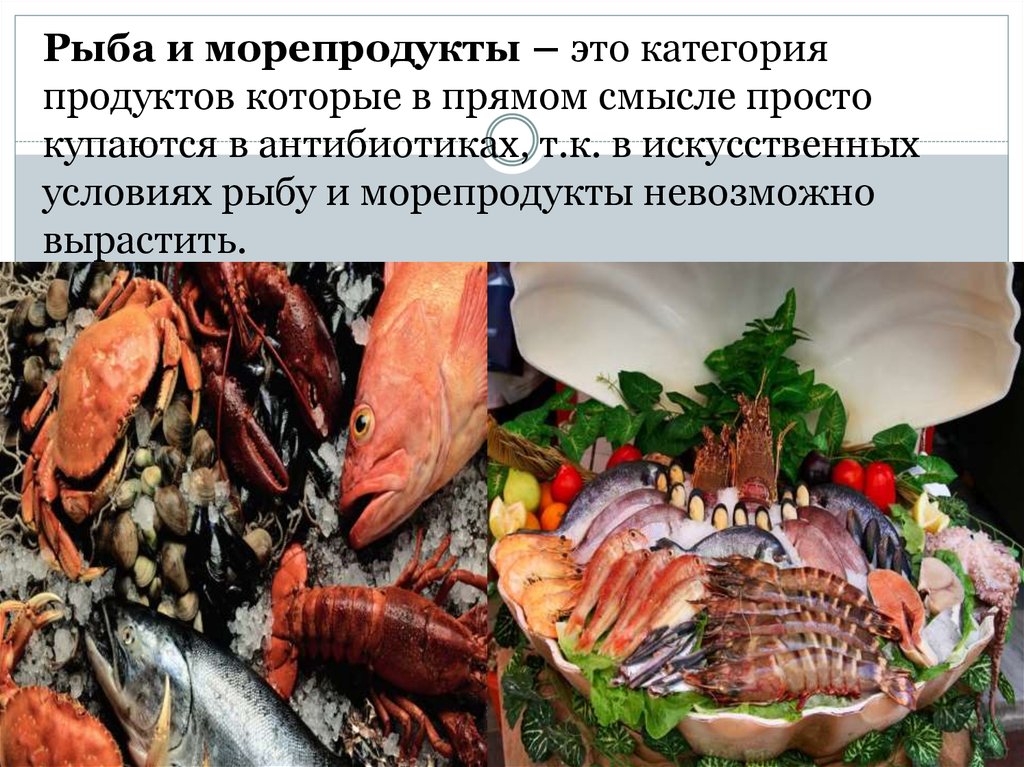 Презентация на тему рыба и морепродукты