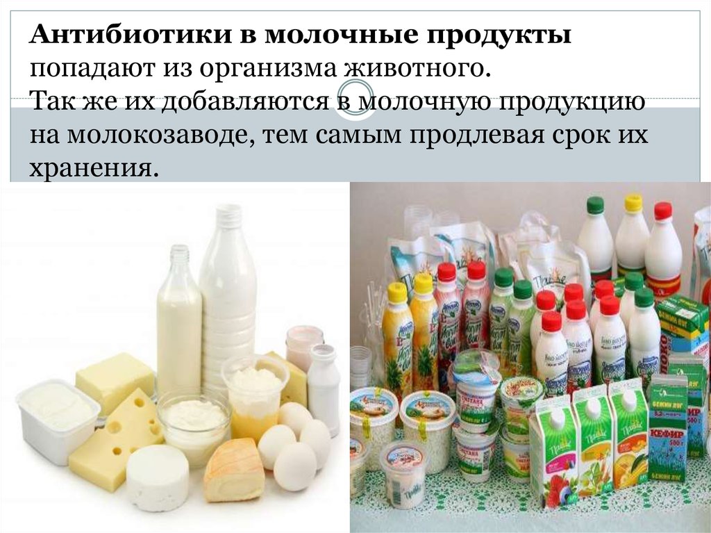 Можно ли молочные. Антибиотики в молочной продукции. Ассортимент кисломолочных продуктов. Антибиотики в молочных продуктах. Виды молочной продукции.