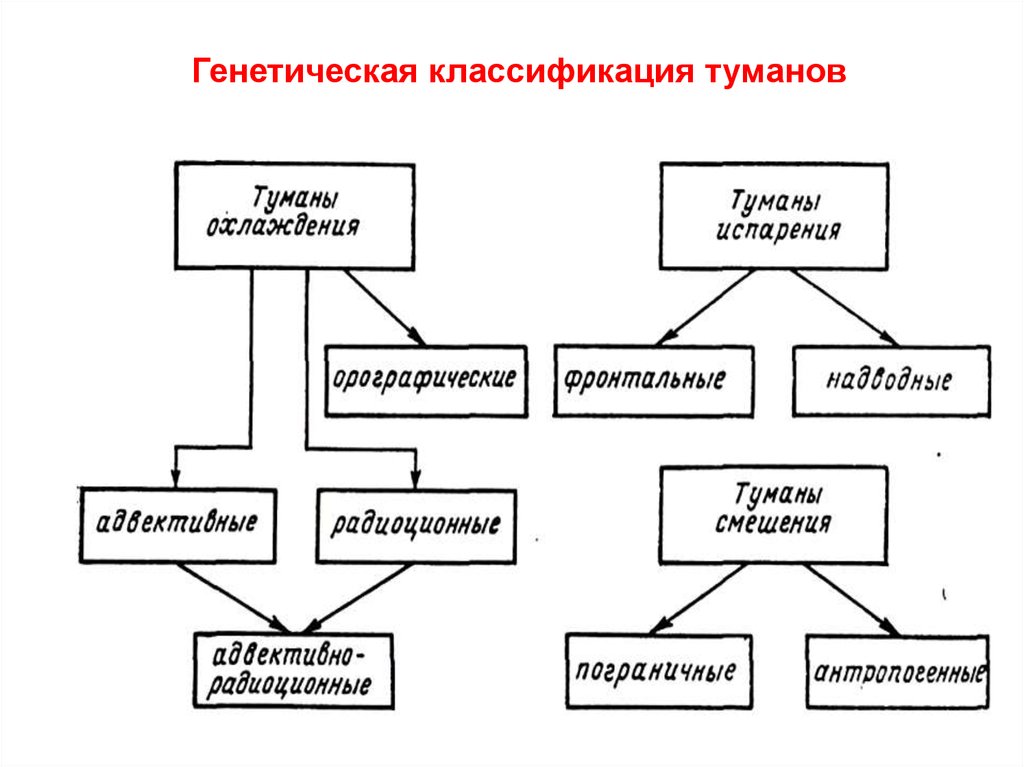 Генетическая классификация. Генетическая классификация Туманов. Генетика классификация. Классификация тумана. Виды Туманов и их характеристика.