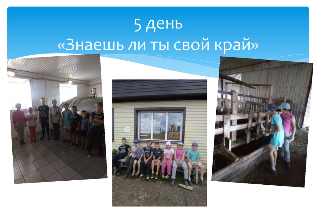 5 день «Знаешь ли ты свой край»