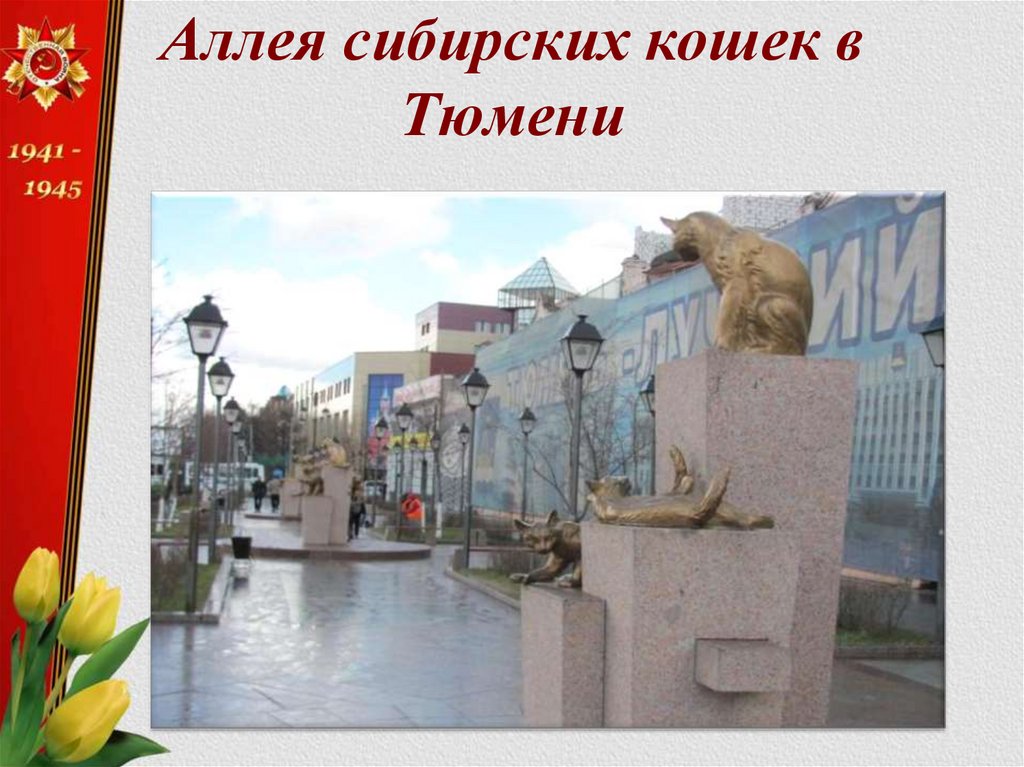 Аллея сибирских кошек в Тюмени