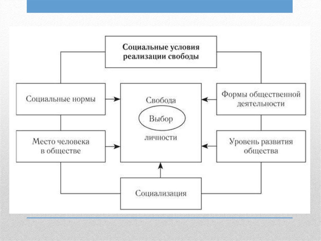 Старшеклассникам было предложено составить сложный развернутый план по теме свобода и необходимость