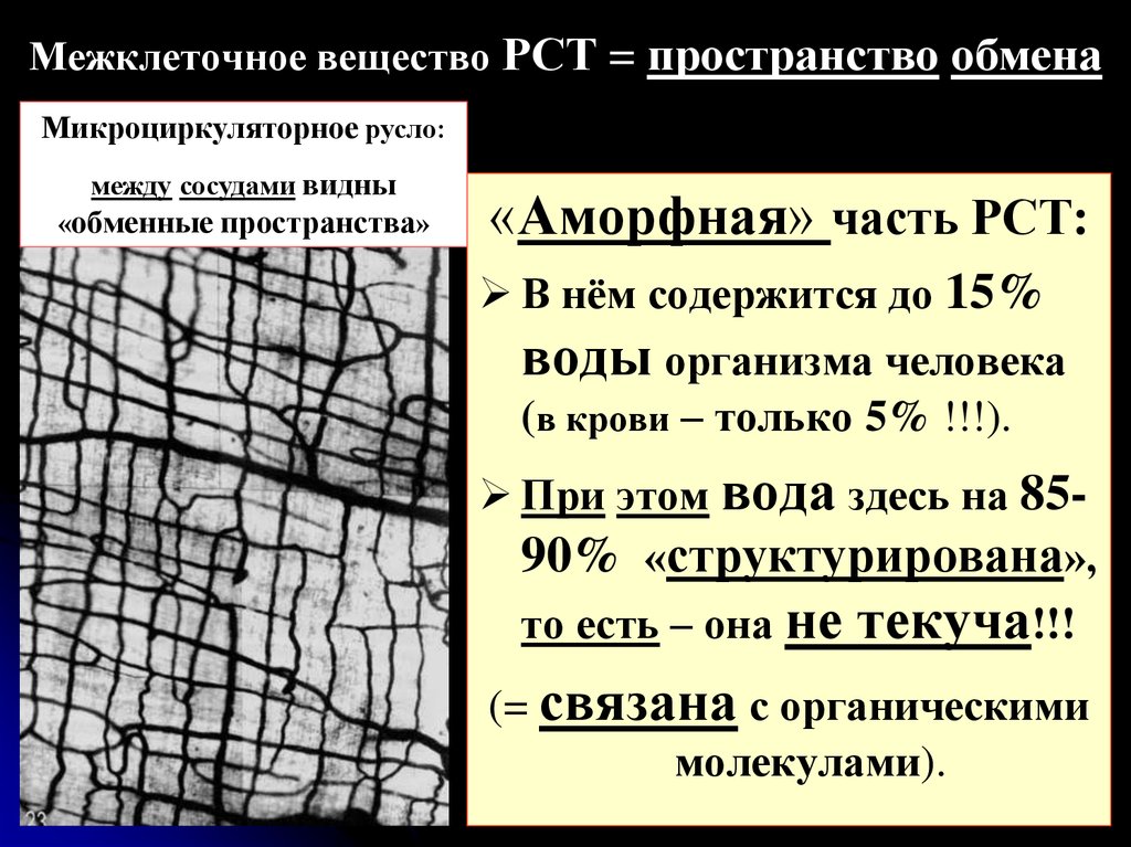 Вещество пространства. Межклеточное вещество РСТ. Межклеточное вещество пространство обмена. Межклеточное вещество примеры. Межклеточное вещество крови.