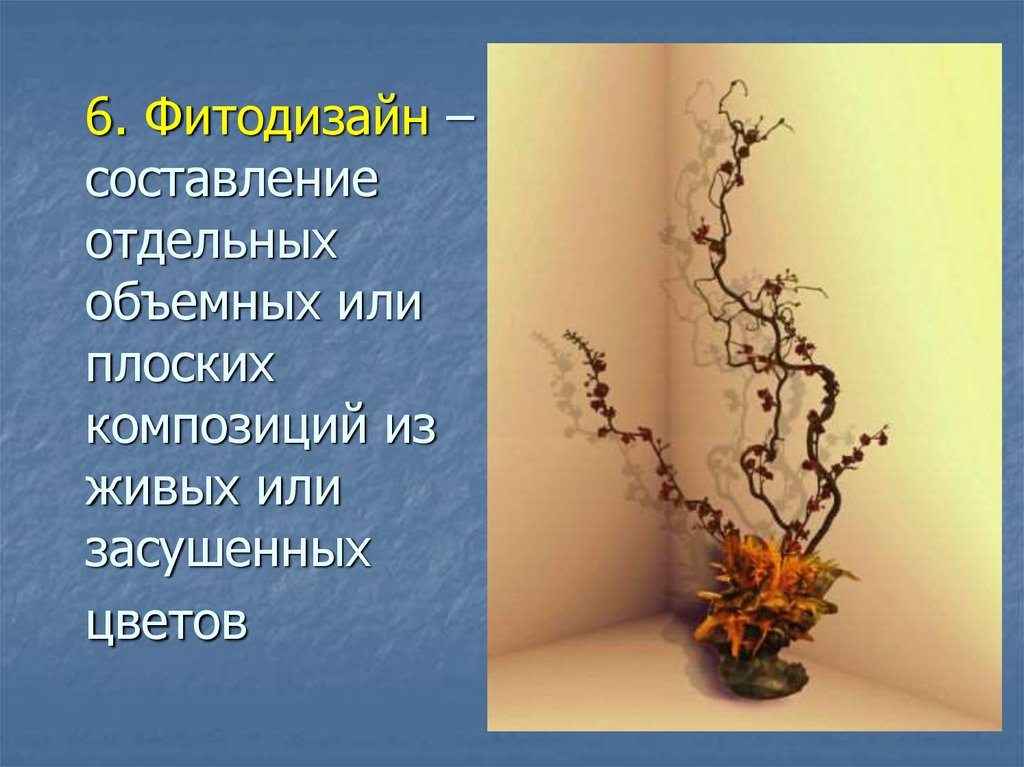 6. Фитодизайн – составление отдельных объемных или плоских композиций из живых или засушенных цветов