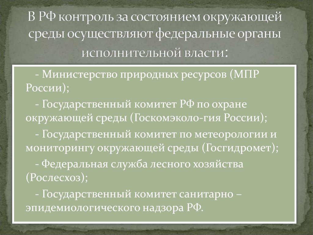 В РФ контроль за состоянием окружающей среды осуществляют федеральные органы исполнительной власти: