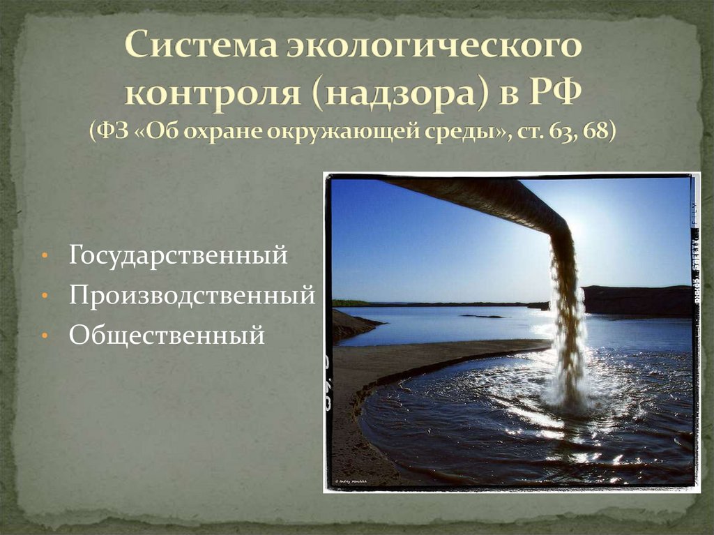 Система экологического контроля (надзора) в РФ (ФЗ «Об охране окружающей среды», ст. 63, 68)