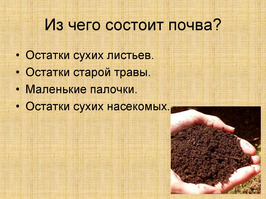 Почва это какое вещество. Из чего состоит почва. Почва для дошкольников. Почва презентация. Презентация на тему почва.