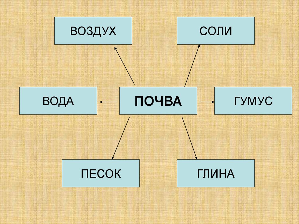 Проект на тему почва