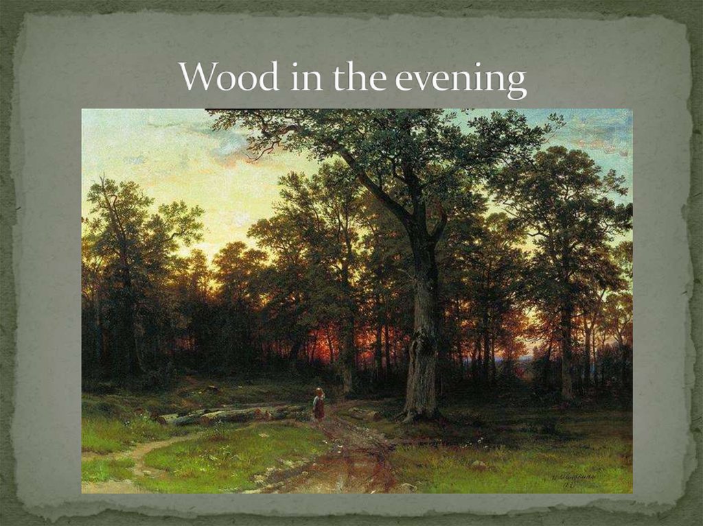 Wood in the evening