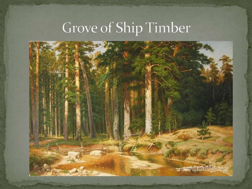 Grove of Ship Timber