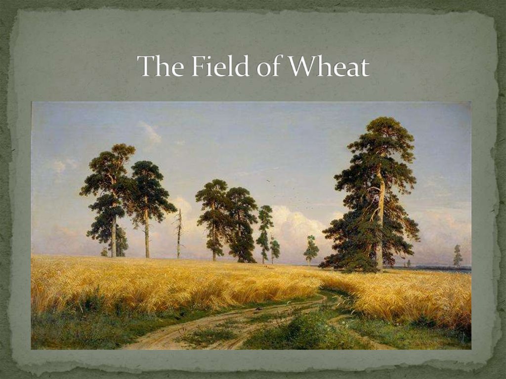 The Field of Wheat