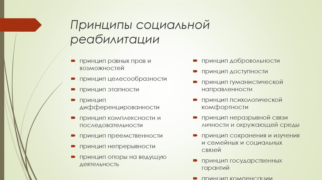 Принципы социальной работы. Принципы социальной реабилитации. Принципы социальной реабилитации инвалидов. Принцип комплексности социальной реабилитации. Принципы медико-социальной реабилитации.