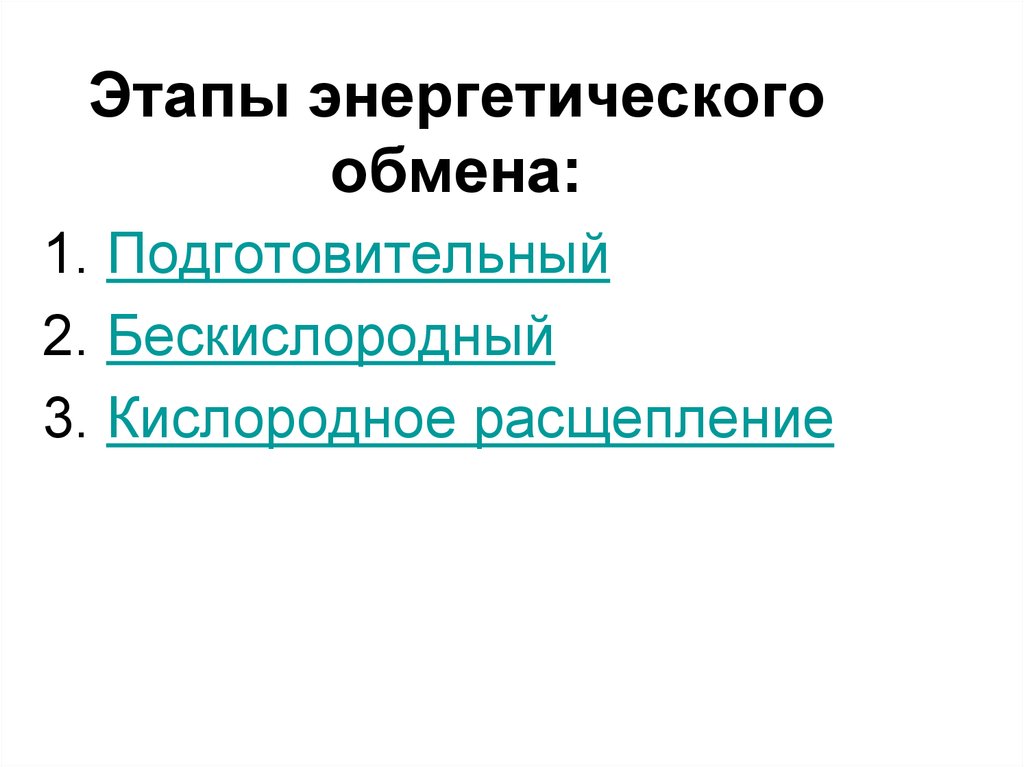 Характеристика этапов энергетического обмена