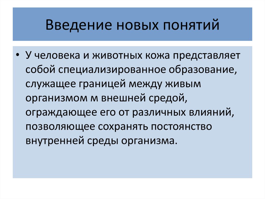 Введение новое время