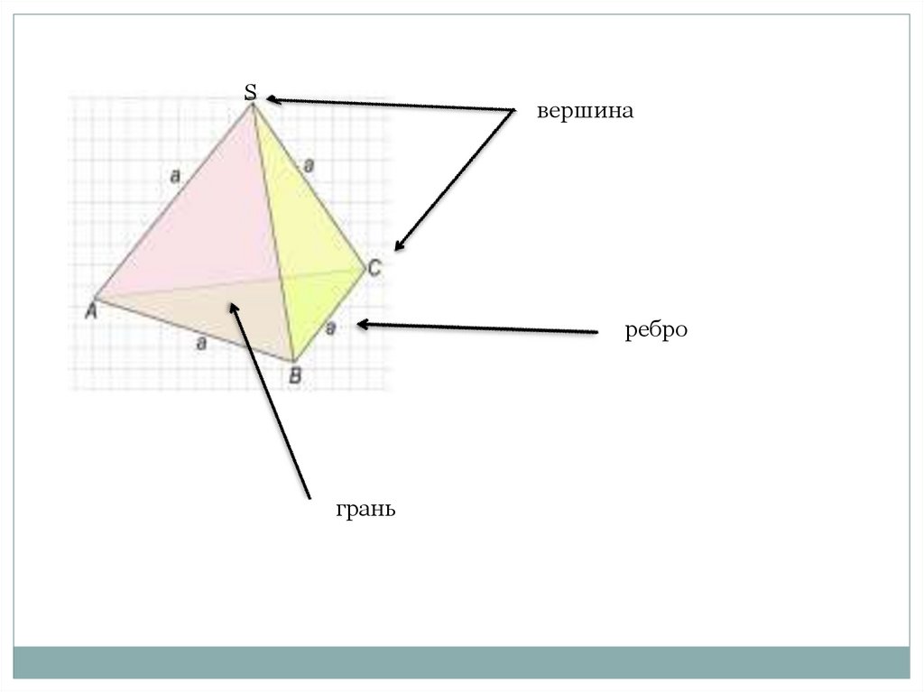 Что такое ребро. Вершины ребра грани многогранника. Многоугольник грани ребра вершины. Треугольник грани ребра вершины. Стереометрия грани вершины ребра.