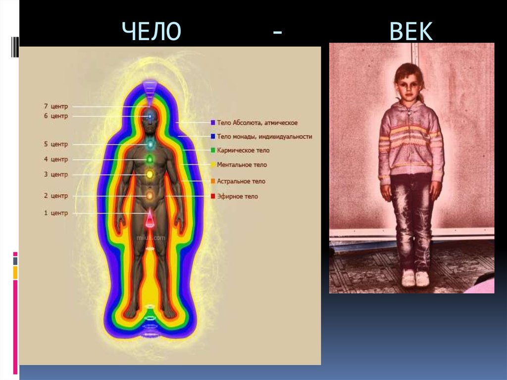 Что такое чело. Тело Абсолют. Чело на век что означает. Человек происхождение слова чело и век. Человек и че+л.