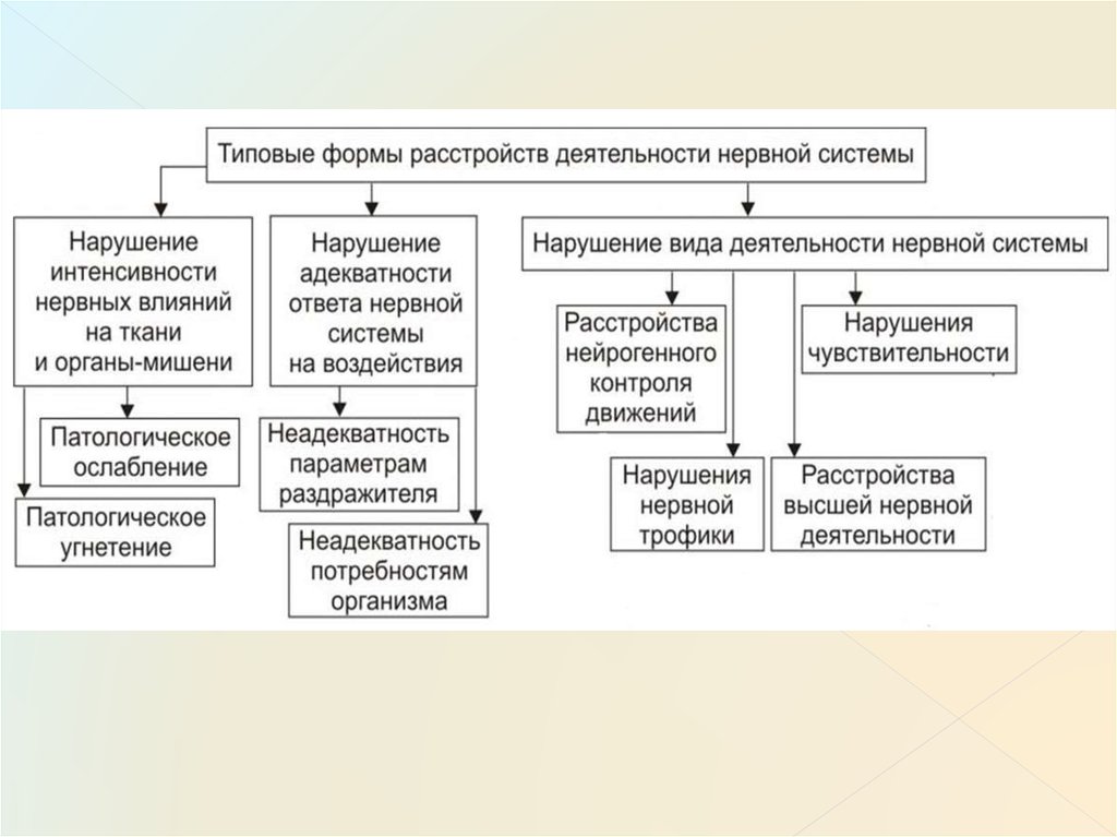 Реабилитация при заболеваниях нервной системы презентация