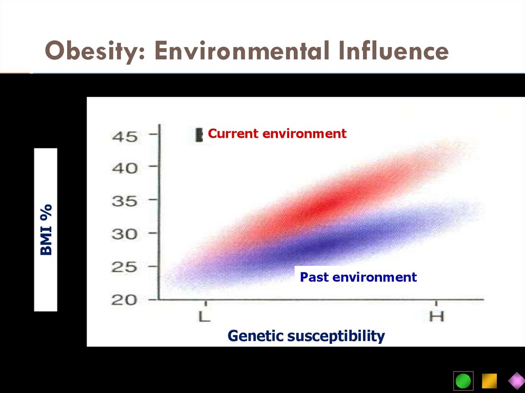 Obesity: Environmental Influence
