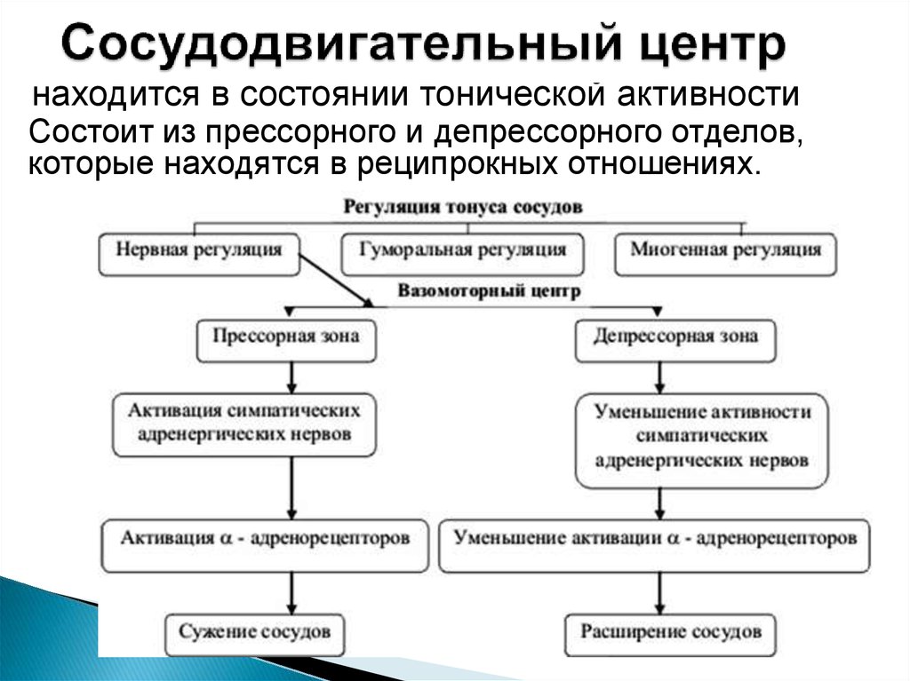 Активность состоит из