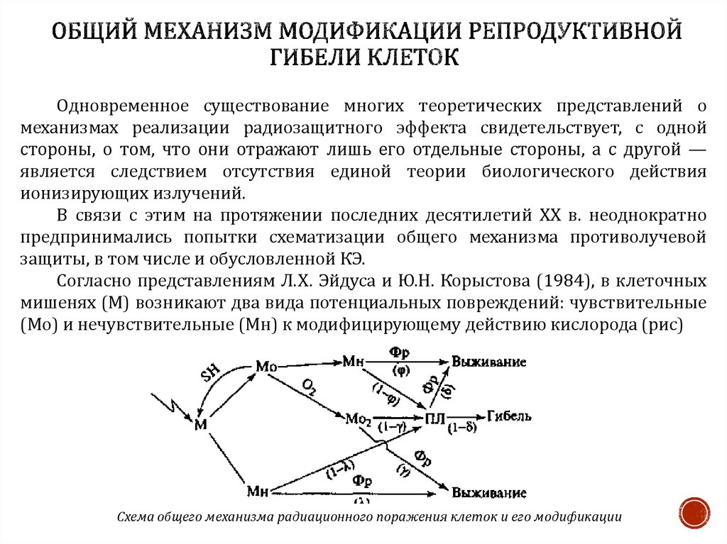 Общий механизм