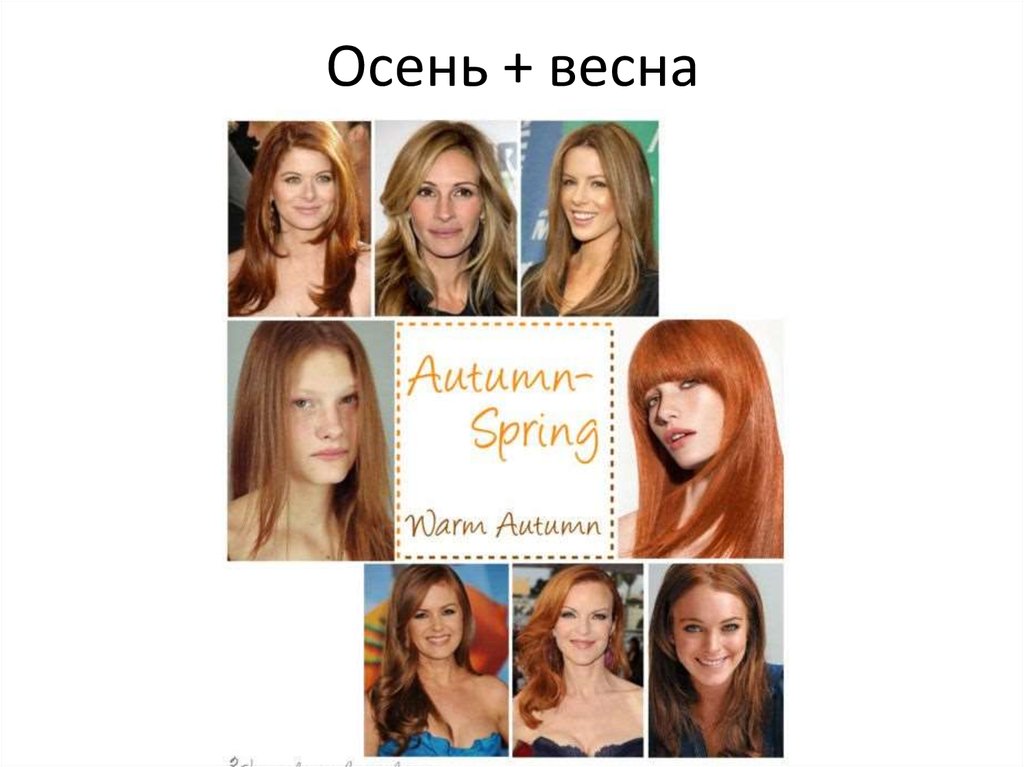 Осень + весна