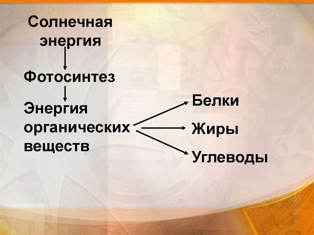 Жиры и углеводы Солнечная энергия. Пластический обмен. Анаболизм.