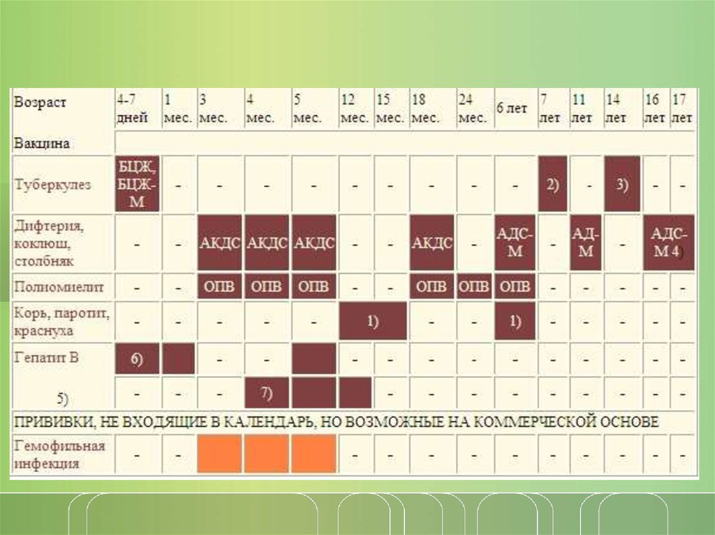 Адсм взрослым до какого возраста. График прививки АКДС детям до года. Прививки АКДС график прививок. АКДС график вакцинации для детей. Прививка АКДС календарь прививок.