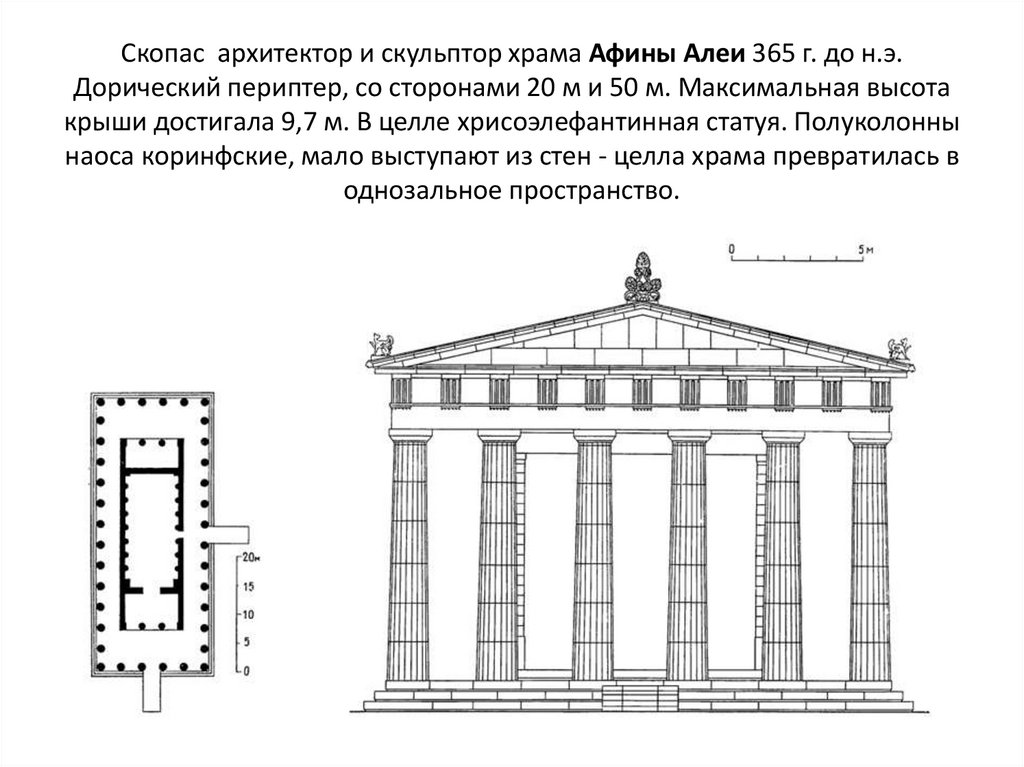 Скопас архитектор и скульптор храма Афины Алеи 365 г. до н.э. Дорический периптер, со сторонами 20 м и 50 м. Максимальная