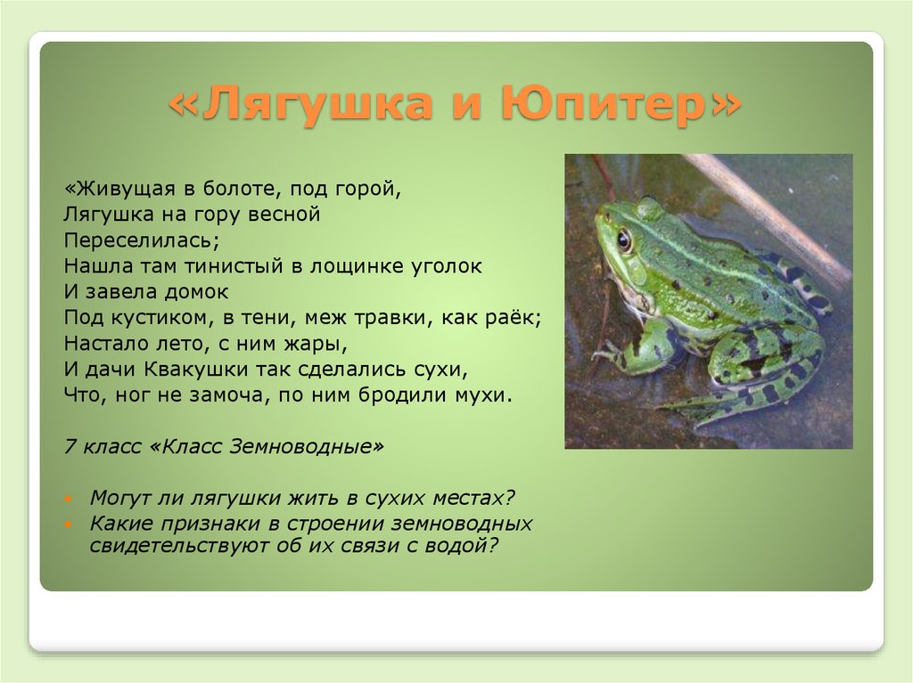 Басня про лягушку