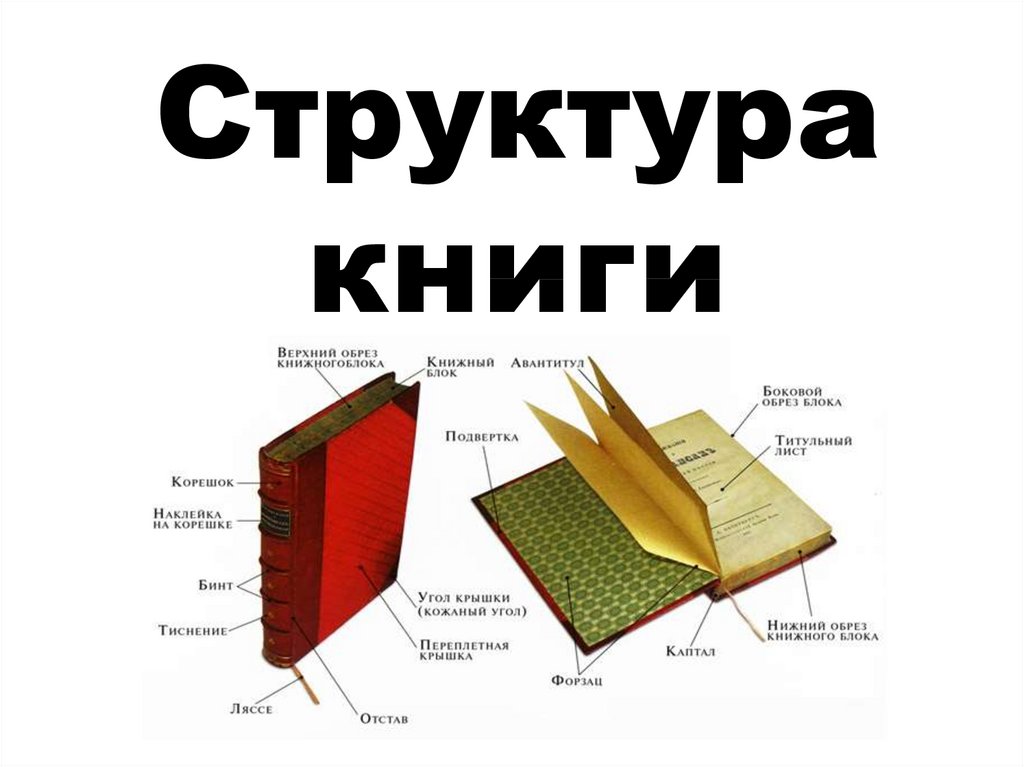 Структура книги