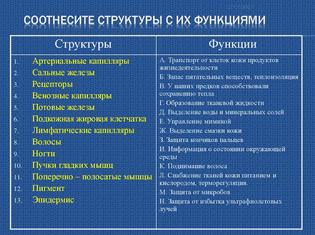 Соотнесите структуры