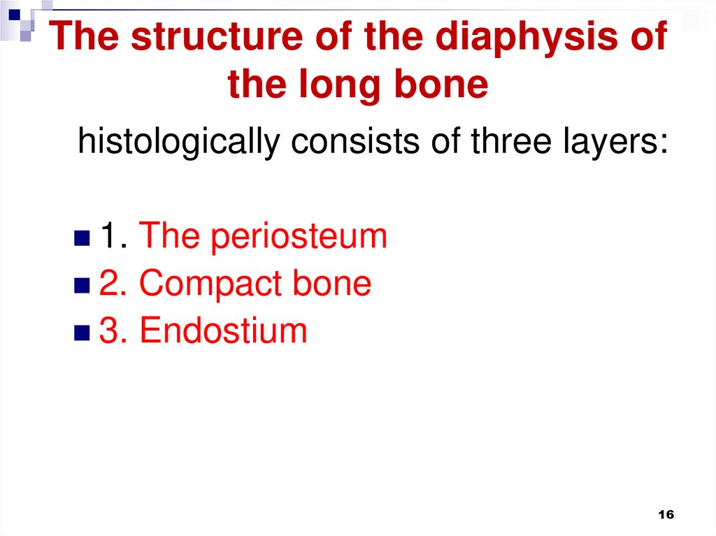 The structure of the diaphysis of the long bone