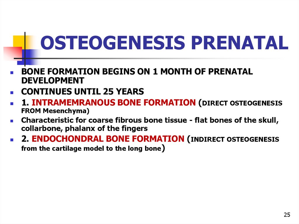 OSTEOGENESIS PRENATAL