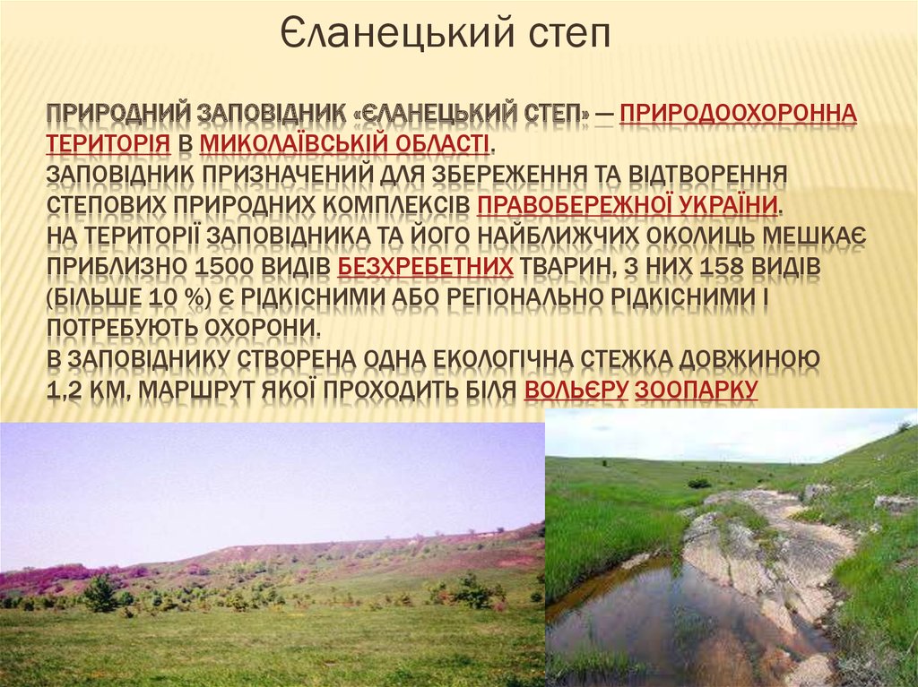 Природний заповідник «Єланецький степ» — природоохоронна територія в Миколаївській області.  Заповідник призначений для