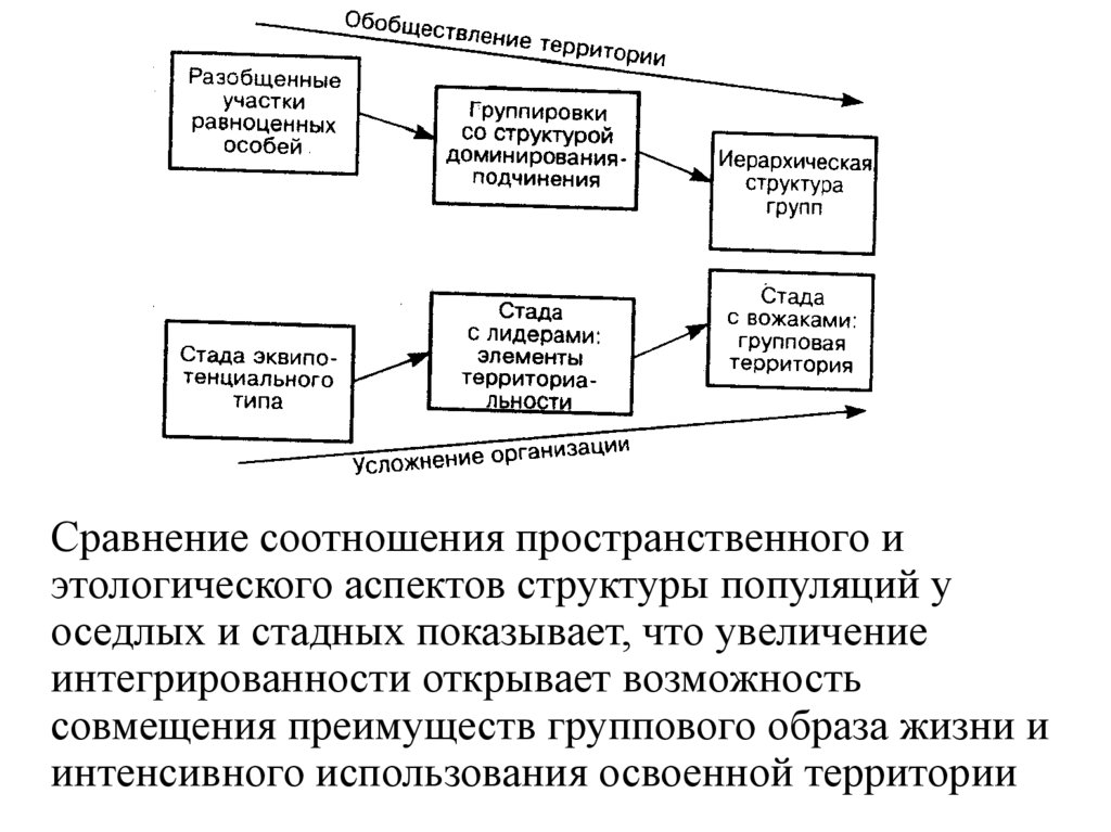 Отношения доминирования подчинения. Иерархическая структура популяций. Пространственно этологическая структура. Пространственная структура популяции. Этологическая структура популяции.