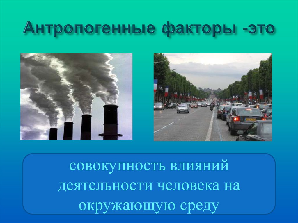 Антропогенные факторы среды. Антропогенные факторы. Антропогенная деятельность человека. Совокупность влияний деятельности человека на окружающую среду.. Антропогенные факторы рисунок.