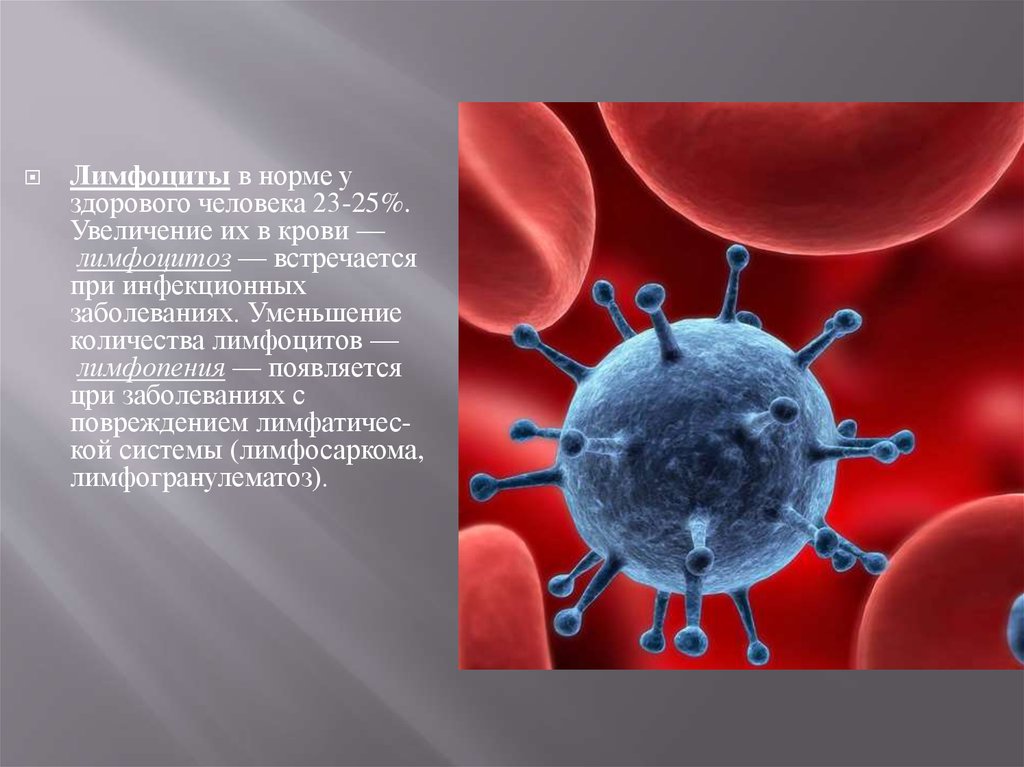 Количество иммунных клеток. Уменьшение количества лимфоцитов. Лимфоциты в крови здорового человека. Иммунные клетки у здорового человека. Нормальное количество иммунных клеток у здорового человека.
