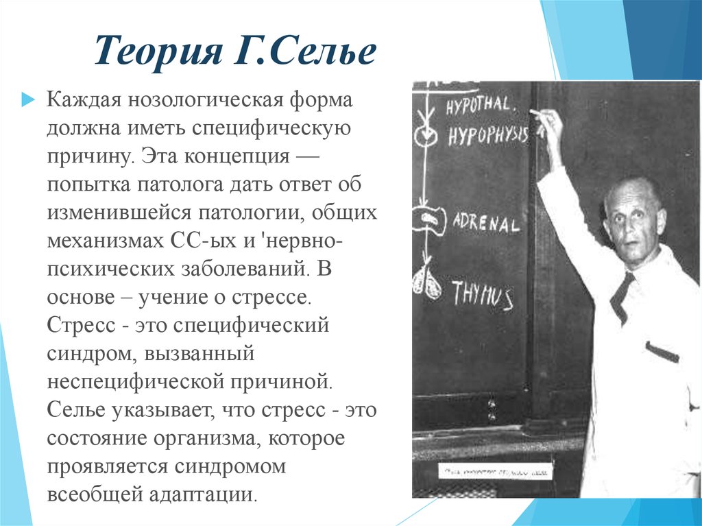 Теория г. Самые известные теории. Теория Селье. Медицина теория. Концепции г. Селье.