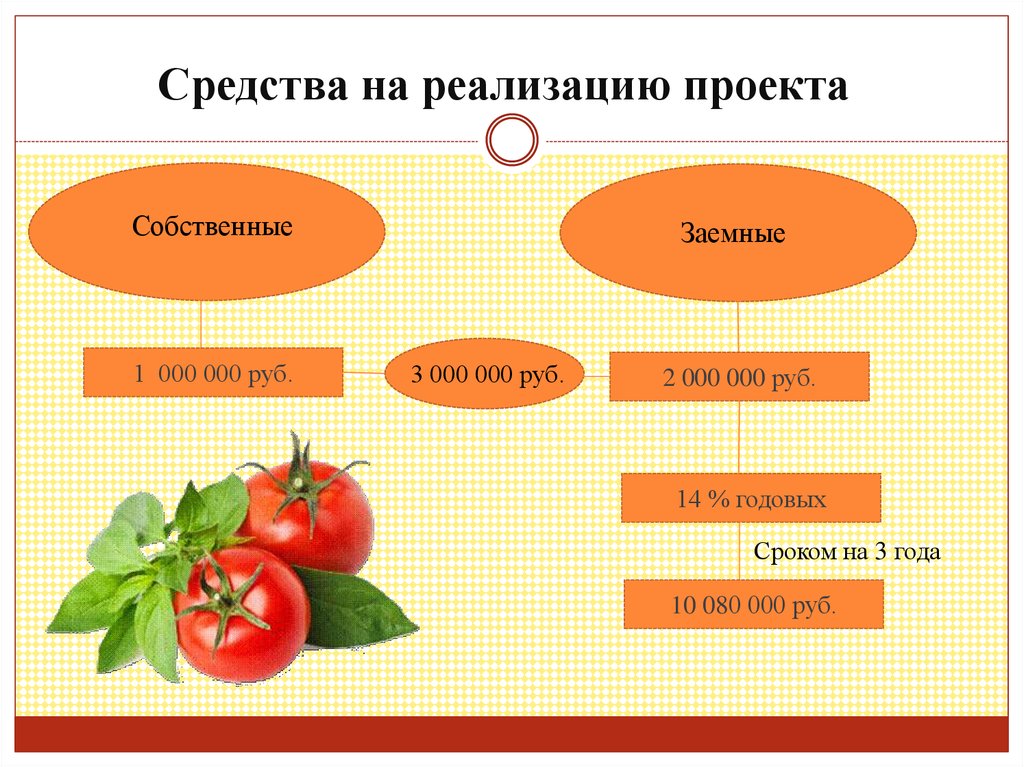 Средства на реализацию проекта