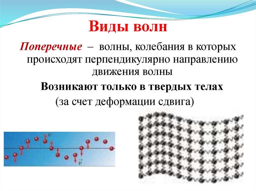 Поперечные волны это. Виды волн. Поперечные механические волны. Виды механических волн. Волны типы волн.