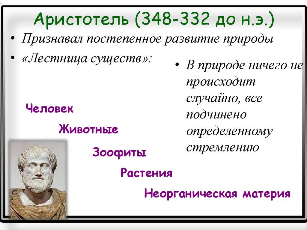 Аристотель (348-332 до н.э.)