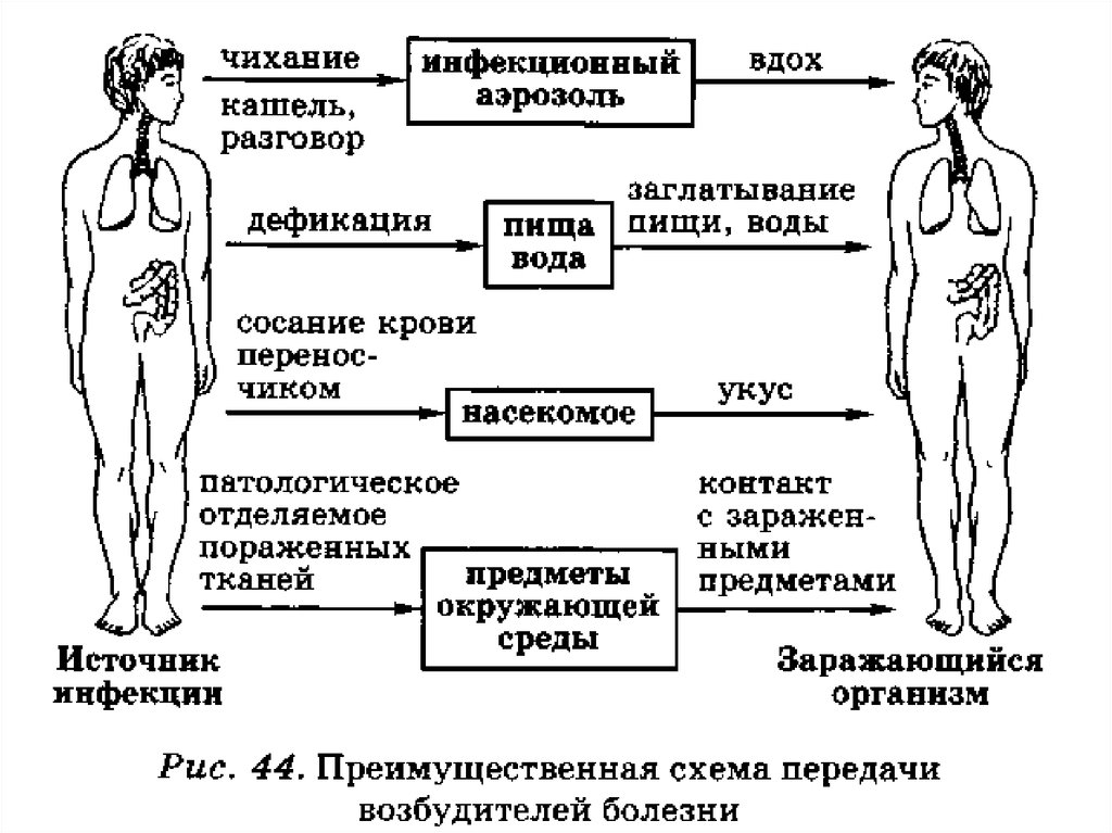 Пути инфекционных заболеваний. Схема пути передачи инфекционных заболеваний. Инфекционные болезни пути заражения. Механизм передачи возбудителя инфекции схема. Способы передачи инфекционных болезней.