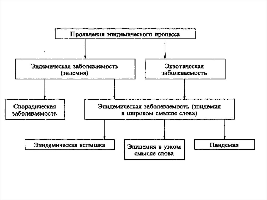 Эпидемический процесс и меры воздействия схема