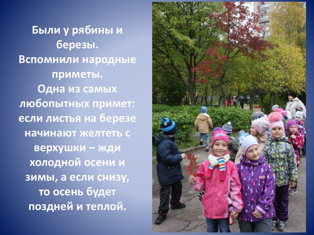 Были у рябины и березы. Вспомнили народные приметы. Одна из самых любопытных примет: если листья на березе начинают желтеть с